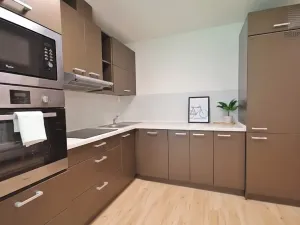 Prodej bytu 2+kk, Brno, Ríšova, 53 m2