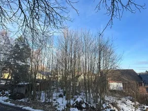 Prodej pozemku, Planá, 570 m2