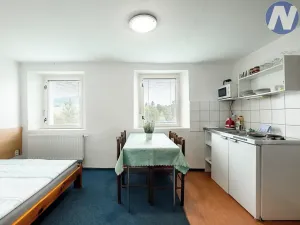 Prodej ubytování, Nová Pec, 200 m2