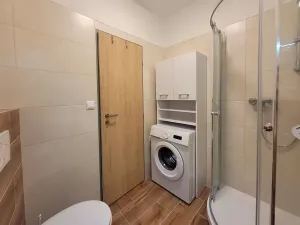 Pronájem bytu 1+kk, Brno, Francouzská, 25 m2