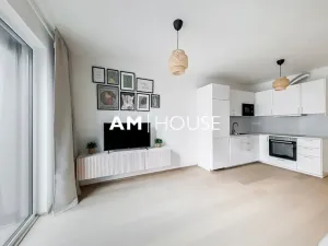 Pronájem bytu 2+kk, Praha - Vysočany, Ivana Hlinky, 60 m2