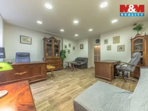 Prodej bytu 1+kk, Praha - Žižkov, Přemyslovská, 38 m2