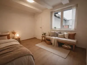 Prodej bytu 2+kk, Brno, Zezulova, 30 m2