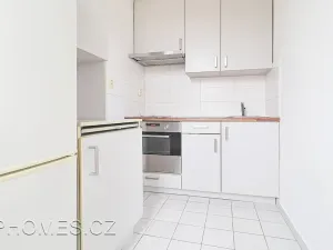 Pronájem bytu 1+kk, Praha - Nusle, U čtyř domů, 32 m2
