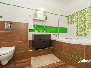 Prodej bytu 2+1, Bystré, Vrchlického, 50 m2