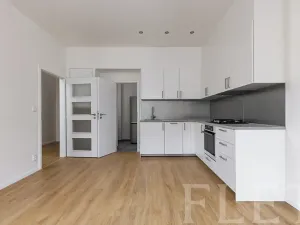 Pronájem bytu 2+kk, Praha - Vinohrady, Šmilovského, 51 m2