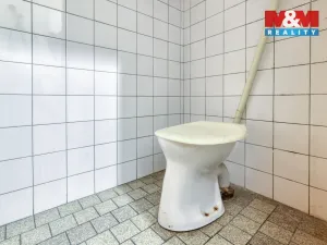 Prodej obchodního prostoru, Starý Plzenec, Smetanova, 57 m2