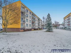 Prodej bytu 3+1, Lázně Bohdaneč, Na Lužci, 62 m2
