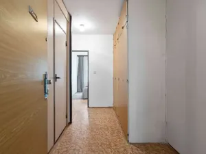 Prodej bytu 2+kk, Praha - Žižkov, Českobratrská, 46 m2