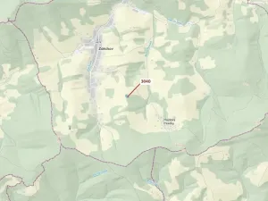 Dražba lesa, Zděchov, 2428 m2