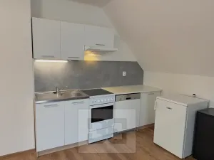 Pronájem atypického bytu, Praha - Stodůlky, Frimlova, 196 m2