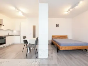 Pronájem bytu 1+kk, Beroun, Na Veselou, 44 m2