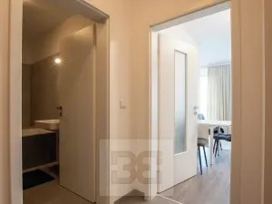 Pronájem bytu 1+kk, Beroun, Na Veselou, 44 m2