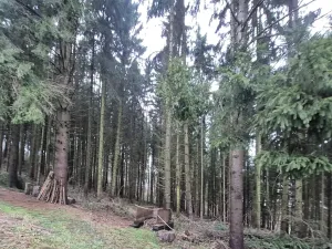 Prodej chaty, Lanškroun, 30 m2