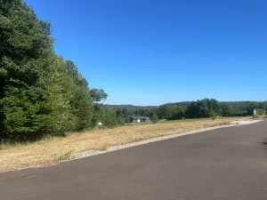 Prodej pozemku pro bydlení, Buš, 1284 m2