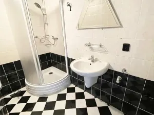 Prodej bytu 2+1, Litvínov, Vinohradská, 55 m2