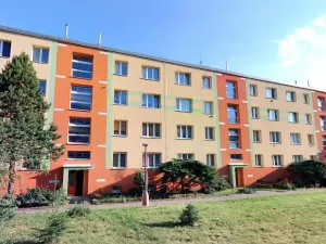 Prodej bytu 2+1, Litvínov, Vinohradská, 55 m2