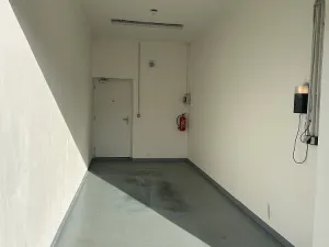 Pronájem ostatní, Praha - Vinohrady, Perucká