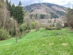 Prodej pozemku pro bydlení, Merklín, 7289 m2