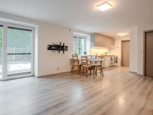 Pronájem bytu 2+kk, Pátek, 80 m2