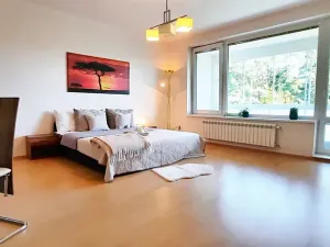 Pronájem bytu 1+kk, Brno, Šemberova, 51 m2