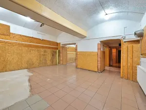 Prodej obchodního prostoru, Plzeň, Nerudova, 134 m2