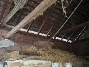 Prodej rodinného domu, Moutnice, 323 m2