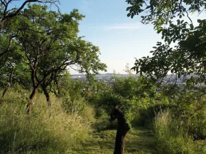 Prodej zahrady, Brno - Židenice, 1227 m2