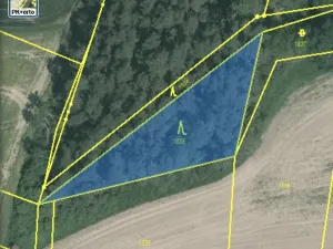 Prodej lesa, Blížejov - Lštění, 1122 m2