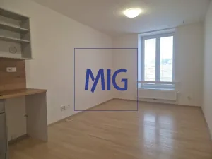 Pronájem bytu 1+kk, Syrovice, 28 m2