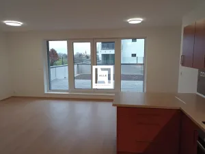 Pronájem bytu 3+kk, Olomouc, Loudova, 73 m2