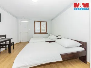 Pronájem bytu 1+kk, Čáslav - Čáslav-Nové Město, Pražská, 21 m2