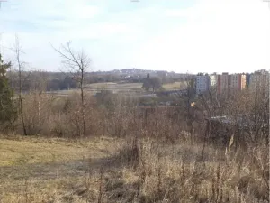 Dražba louky, Tábor, 1007 m2