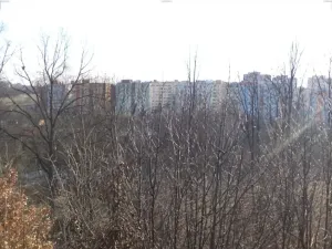 Dražba louky, Tábor, 1007 m2