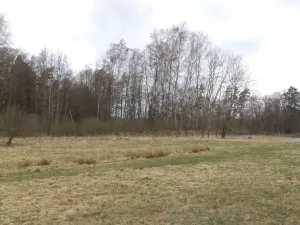 Dražba louky, Chlum u Třeboně, 6727 m2