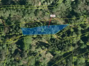 Dražba lesa, Zděchov, 867 m2