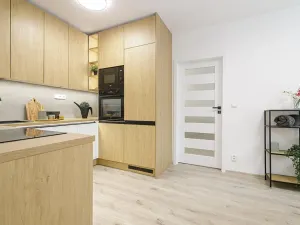 Prodej bytu 1+1, Ostrava, Havířská, 55 m2