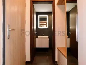 Pronájem bytu 1+kk, Plzeň, Pallova, 29 m2