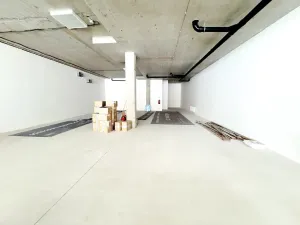 Pronájem obchodního prostoru, Praha, 246 m2