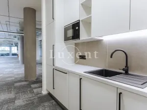 Pronájem kanceláře, Praha - Nové Město, Václavské náměstí, 287 m2