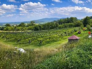 Prodej zemědělské usedlosti, Lhenice, 300 m2