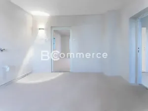 Prodej rodinného domu, Brandýs nad Labem-Stará Boleslav, Na baterii, 300 m2