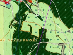 Dražba louky, Děčín, 15764 m2