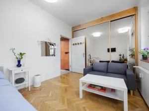 Prodej bytu 1+1, Praha - Žižkov, Baranova, 34 m2