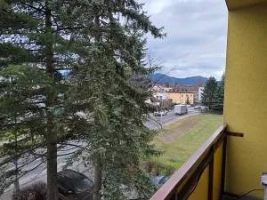 Pronájem bytu 3+1, Frýdlant nad Ostravicí, Hlavní, 75 m2