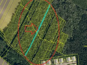 Prodej podílu lesa, Mutěnice, 1819 m2