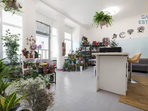 Pronájem obchodního prostoru, Holešov, U Letiště, 55 m2