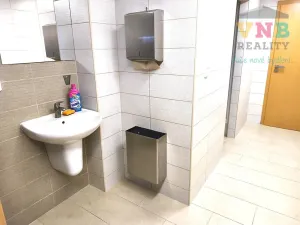 Pronájem komerční nemovitosti, Uničov, Litovelská, 110 m2