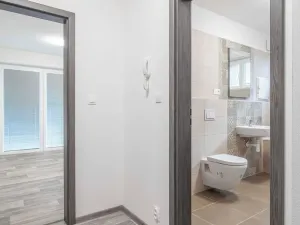 Pronájem bytu 1+kk, Heřmanova Huť, U Pondu, 34 m2