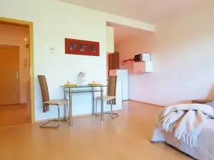 Pronájem bytu 1+kk, Brno, Šemberova, 51 m2